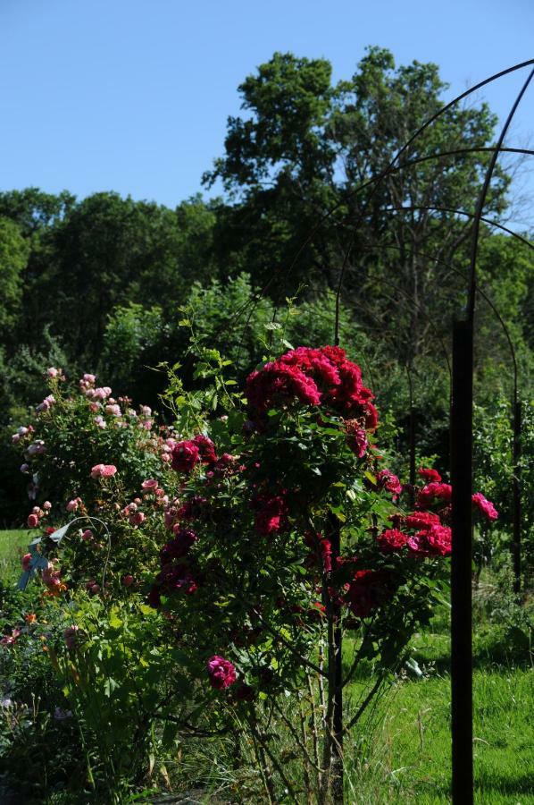 Le Champ Bagnolet Bed and Breakfast Voussac Eksteriør billede